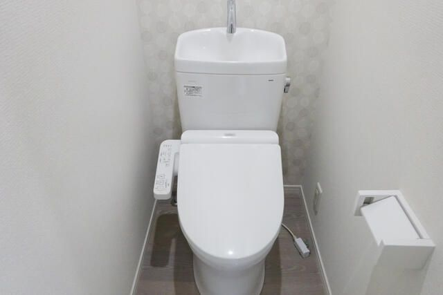 ピア隅田のトイレ