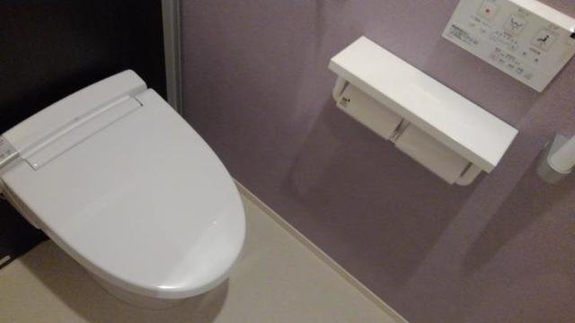 【トイレ】 | ラピス　ウィークス | トイレです