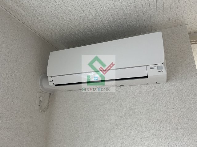 ヴィオラのその他