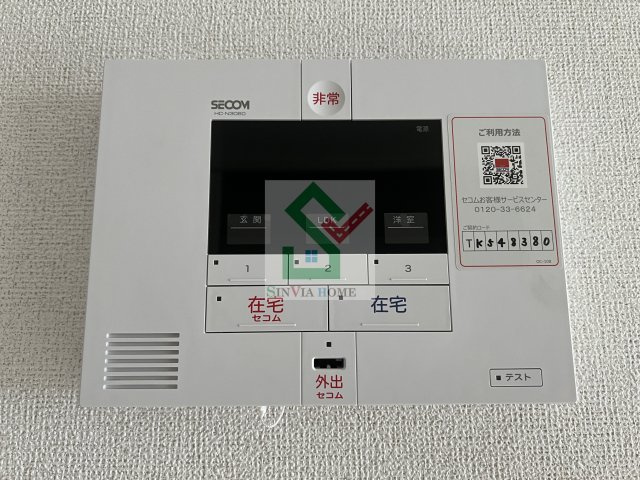 ヴィオラのその他