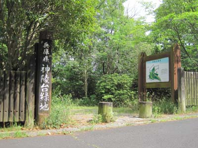多聞台５丁目戸建の周辺|神陵台緑地