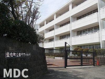 グリーンリーフ　Ｃのその他