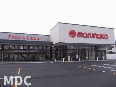 グリーンリーフ　Ｃのその他