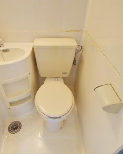 厚木市飯山南５丁目の賃貸マンションのトイレ