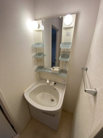 セントラルグレイスの洗面所