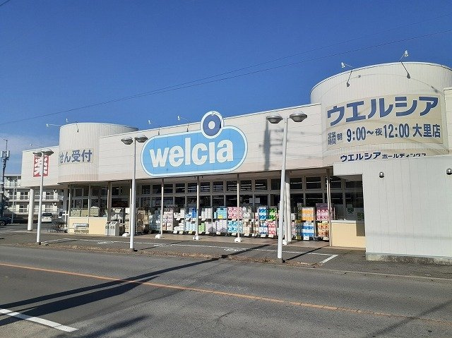 【周辺】 | グリシーヌＥＡＳＴ | ウェルシア大里店まで1000m
