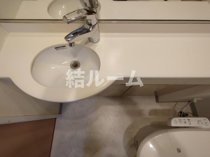 豊島区南大塚３丁目の賃貸マンションの洗面所