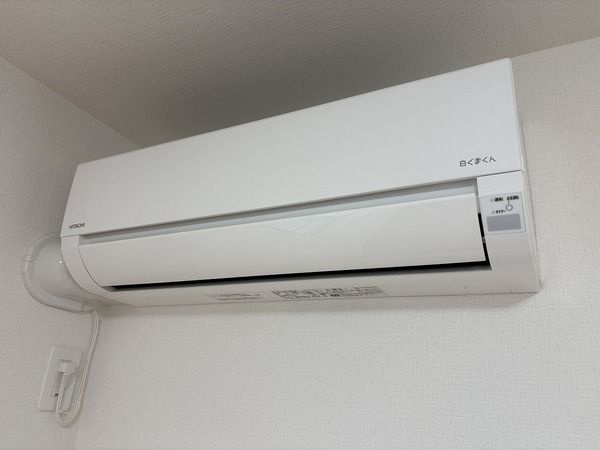 ソル・フルールのその他