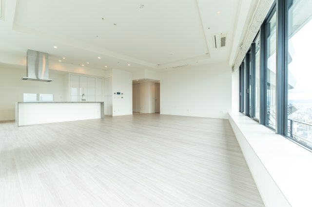 Brillia Tower 堂島（ブリリアタワー堂島）の居間・リビング