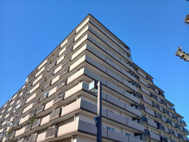 朝日プラザ松原Ⅱの外観