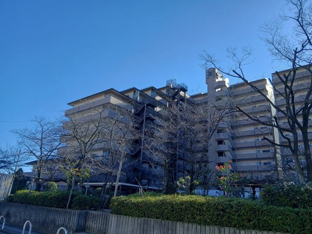 朝日プラザ松原Ⅱの外観