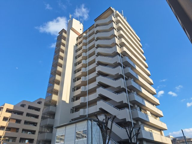 サン正蓮寺リバーハイツの外観
