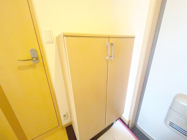 熊本市東区神園１丁目の賃貸マンションの収納|靴箱