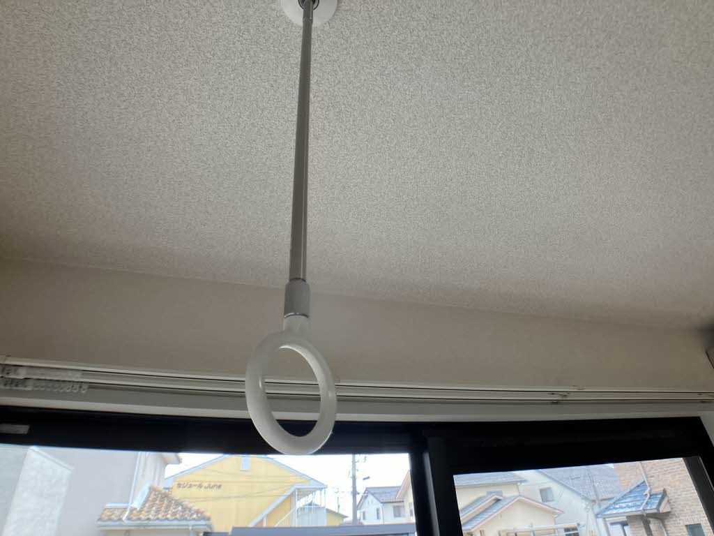 スプルースはるかのその他