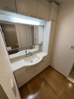 テラス日新の洗面所