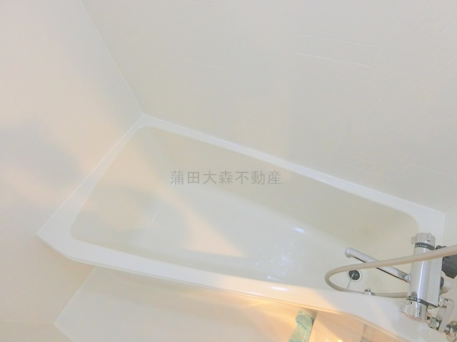 AXAS南蒲田AsylCourt（アクサスミナミカマタアジールコートの浴室