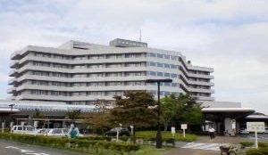 アンバートゥルーキャッスルⅠの周辺|岩手県立胆沢病院まで1000m