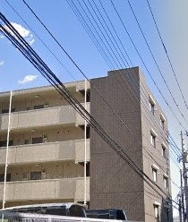 【展望】 | プラキドゥム
