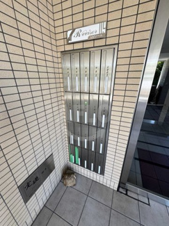 【設備】 | レビソール　野中小学校区 | レビソール　メールボックス