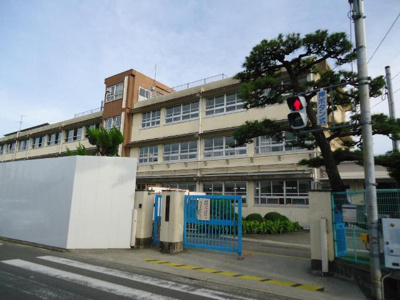 【周辺】 | シャン　ヴィラージュ | 堺市立南八下小学校まで769ｍ