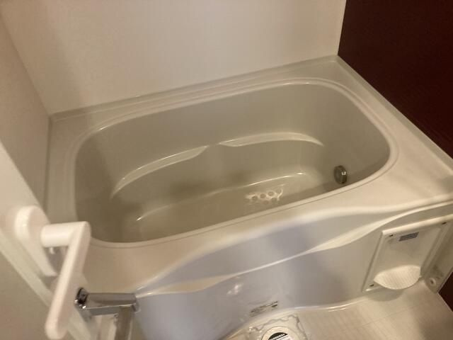 カーサスプレンディッド西麻布の浴室
