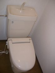 落ち着いたトイレです