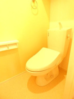 落ち着いた色調のトイレです