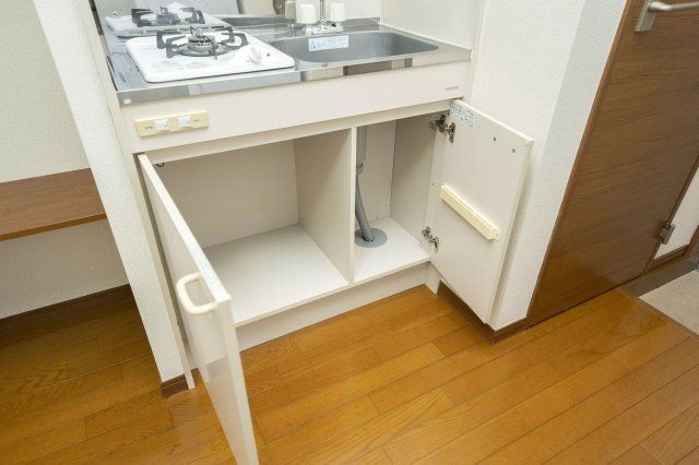 AP633 アーバンプレイス沼袋Ⅷ 101のキッチン|



