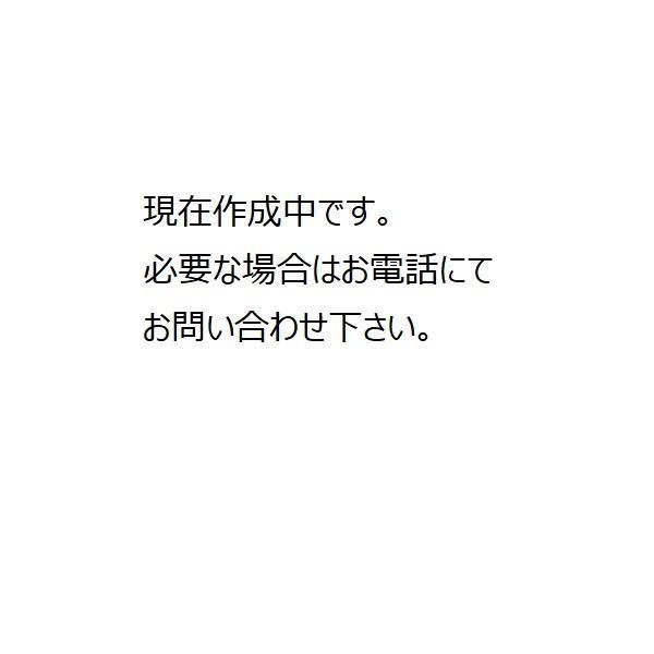 船橋戸建の間取り