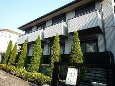 SHIINO　MANSIONⅡのエントランス|エントランス