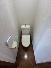 落ち着いたトイレです