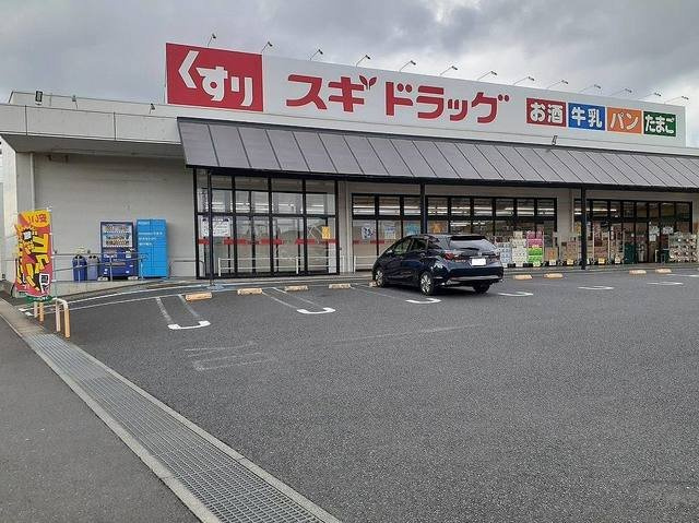 カミーノ　アムレト　Ⅲの周辺|スギドラッグ 佐野店まで400m