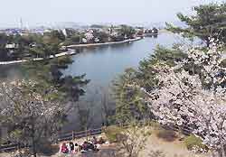 Marin 春日西の周辺|白水大池公園まで1,739ｍ