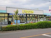 グリシーヌの周辺|いなげや府中美好店まで210ｍ
