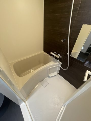 アピチェ田園調布の浴室|日々の暮らしに欠かせないお風呂です