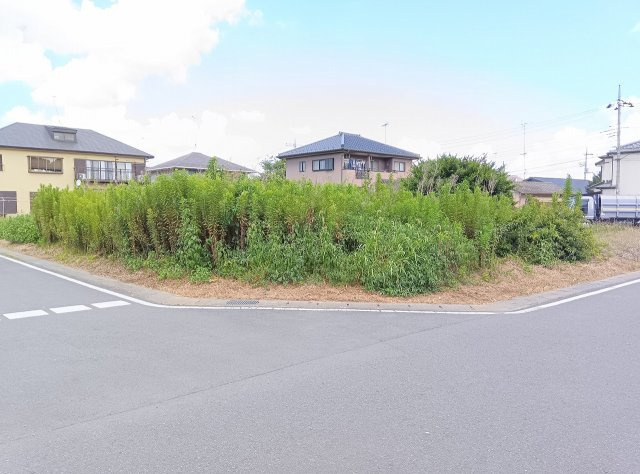 栃木市大平町西野田