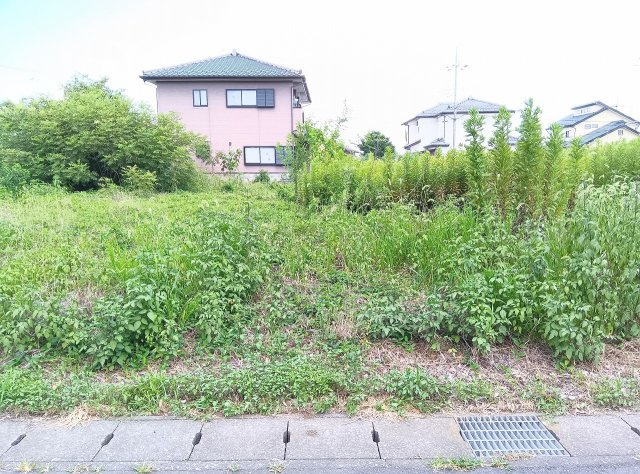 栃木市大平町西野田の外観|2026年8月撮影