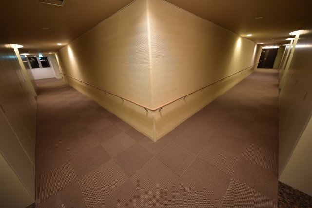 ローレルタワー難波のその他