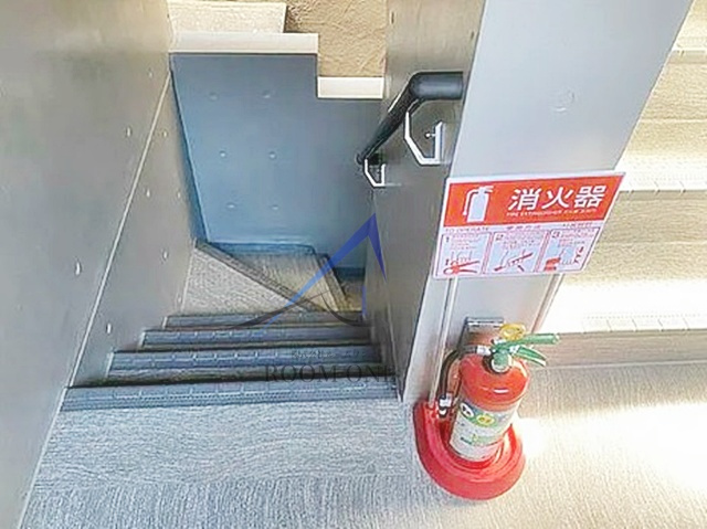 Ｇｌｉｃｉｏｎ　Ｋａｍｅｉｄｏ