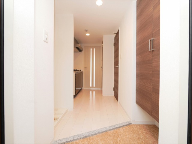 Luxe難波西Ⅰの玄関