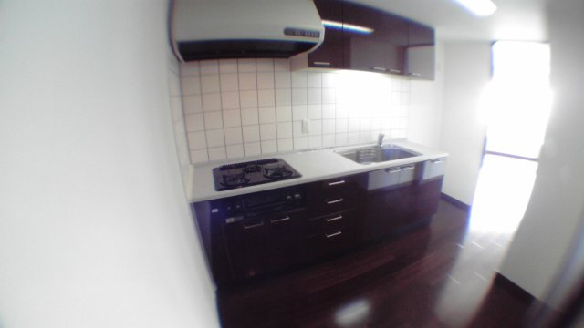 江東区豊洲５丁目の賃貸マンションのその他|キッチン