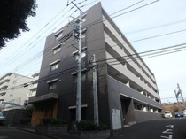 プラキドゥムの画像