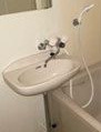 ビリィーメンハイムの洗面所