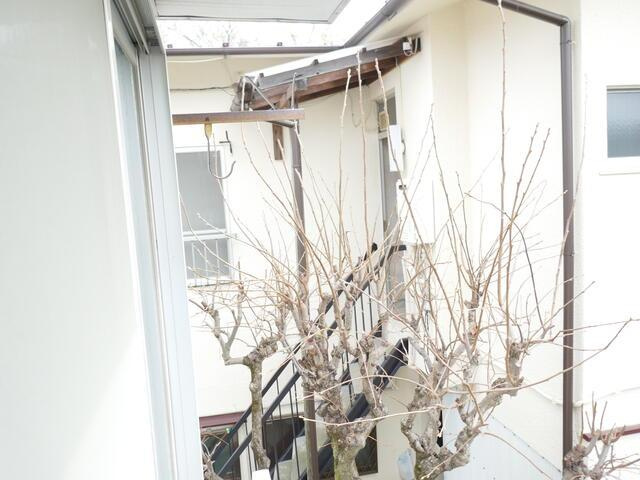 福岡アパートの周辺