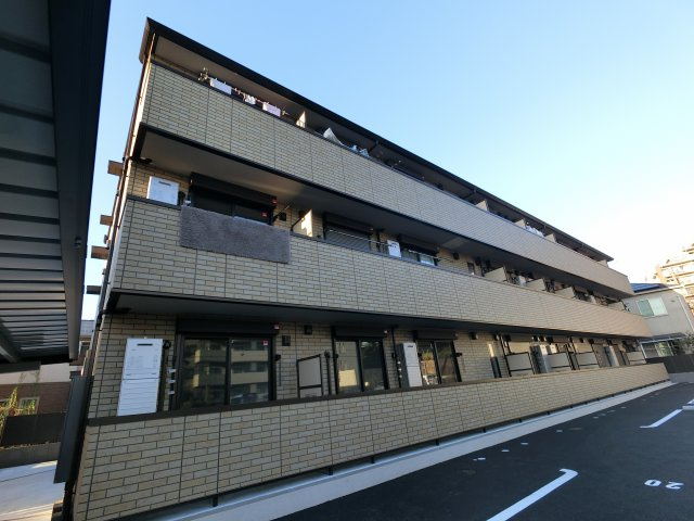 ラテルの画像