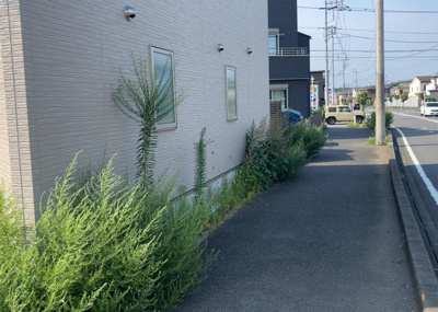 【外観】 | 橋本事業用 | お持ちの車種によっては前面道路が広い方が便利でしょう。しかし、前面道路が広ければその分交通量が多くなるため、騒音などが気になる場合があります。実際に現地を見学し、周辺交通量や騒音などを確認しましょう！