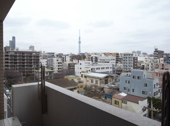 椿の展望