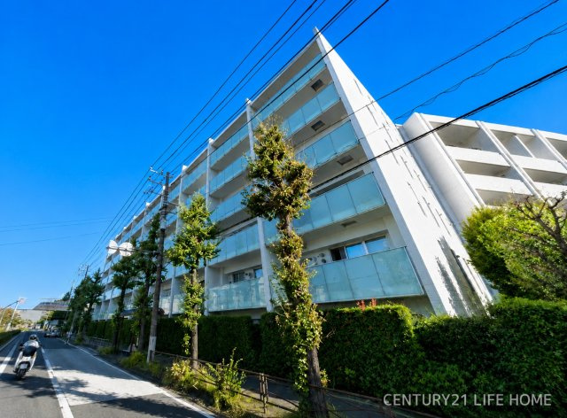 クレッセント新川崎エグゼの画像