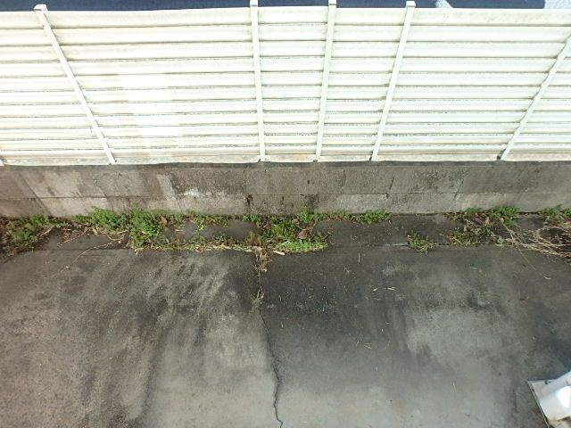 タウンハウス中忠の庭
