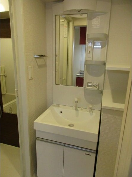 Casa Avenue Ikeshitaの洗面所